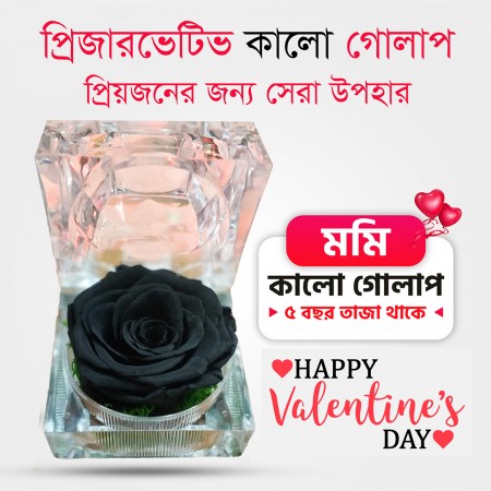 Real Black Rose Flower With Crystal Box(Preserved)